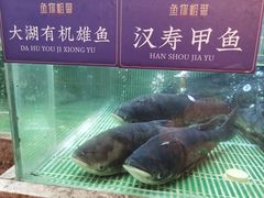 -鱼你相聚·河鲜馆(袁家岭店)