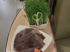 -海底捞火锅(奥森店)
