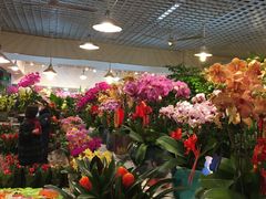 -双季花艺园艺市场(浦东店)