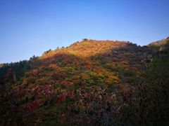 -云岫谷自然风景区