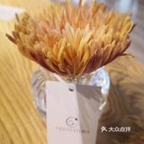 绘厨～咖啡～下午茶