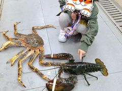 -渔乐圈海鲜餐厅(群力金江路店)