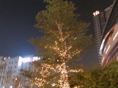 -盒马鲜生(岭南新世界店)