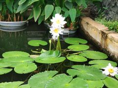 -国家植物园南园