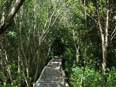 -新江湾城公园