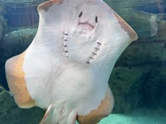 -珠海长隆海洋王国