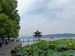 -西湖游船