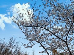 -长田漾湿地公园