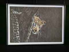 -罗红摄影艺术馆