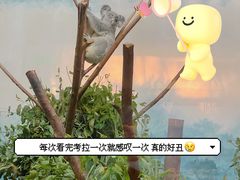 -广州长隆野生动物世界