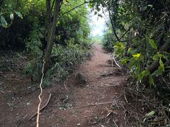 -凤栖山