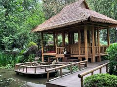 -望江楼公园