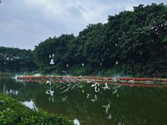 -广州长隆飞鸟乐园