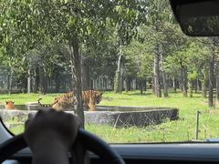 -秦皇岛野生动物园