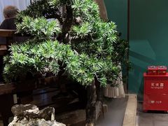 -佬麻雀·剁椒鱼头(京基KK One店)