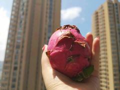 -北京清河镇农副产品交易市场中心