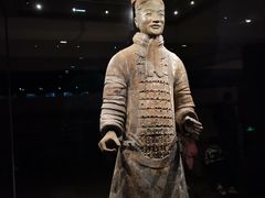 -秦始皇帝陵博物院-丽山园