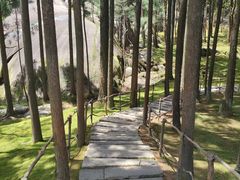 -玉苍山国家森林公园