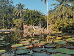 -中国科学院西双版纳热带植物园