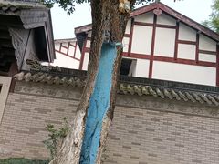-龙潭水乡