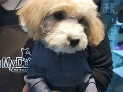 -Oh My Dog宠物沙龙(伊珊娜皮毛护理店)