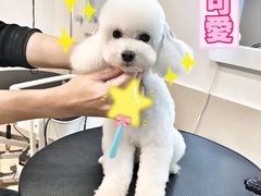 -Double Rui宠物酒店
