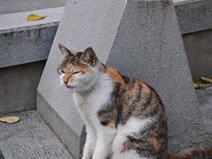 -宝通禅寺