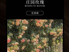 -万达广场(南昌红谷滩店)