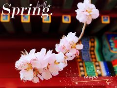 -北海公园