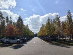 -捞渔河湿地公园