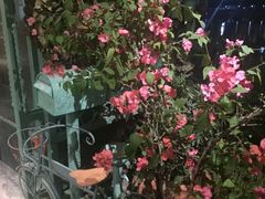 -莫奈花园法式蛋糕