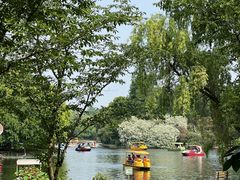 -上海共青森林公园