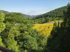 -佛慧山