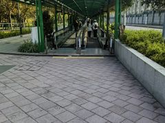 -澳门威尼斯人综合度假区