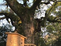 景点-热田神宫