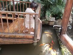 -鹅城