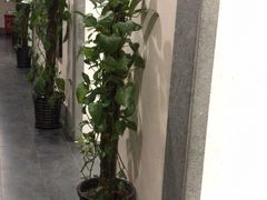 -秦汉胡同书法古筝围棋国画书院(宝地分馆)