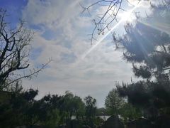 -太阳部落