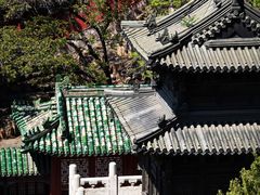 -颐和园