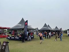 -春花秋色城市公园