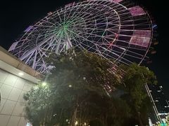 -南昌之星摩天轮