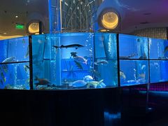 -王家渡火锅店(棕榈泉店)