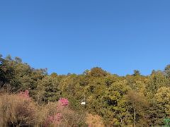 -苍山感通索道