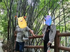 -火炉山森林公园