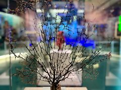 -上海中国航海博物馆