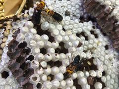 -银生食府·普洱菜(金星店)