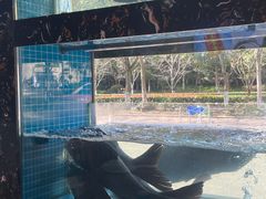 -浔味·山屿湖·正宗淳牌全鱼宴老字号