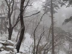 -峨眉山风景名胜区