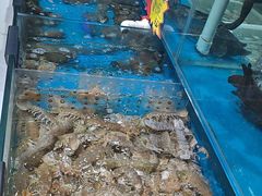 -颐千海味渔小馆(大三元街店)