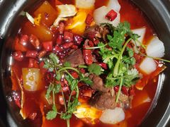 -受气牛肉·重庆耙牛肉(南坪总店)